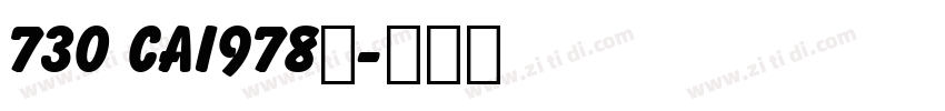 730 CAI978◆字体转换